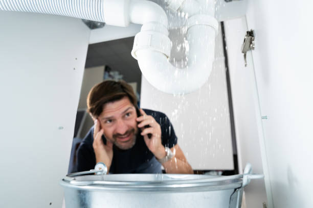 Best Septic Systems  in Ome, GA