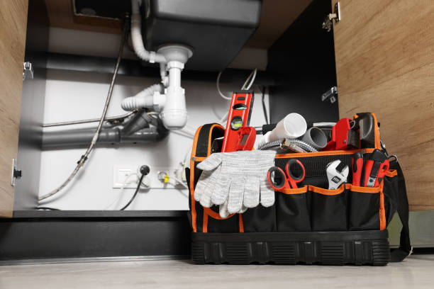 Best Plumbing Inspection Services  in Ome, GA