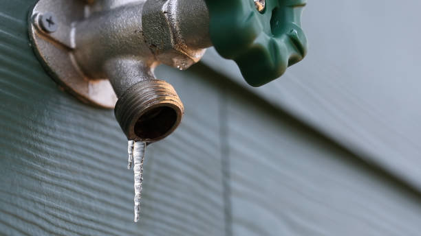 Best Drain Cleaning Services  in Ome, GA